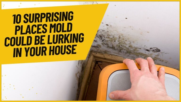 10 Surprising Places Mold Could Be Lurking in Your House