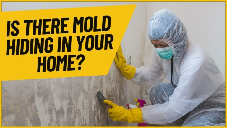Is There Mold Hiding in Your Home? The Importance of Mold Inspection