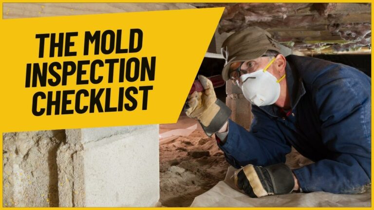 The Mold Inspection Checklist: 8 Steps to Take Before the Inspector Arrives