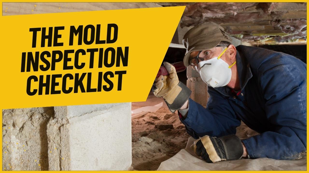 The Mold Inspection Checklist